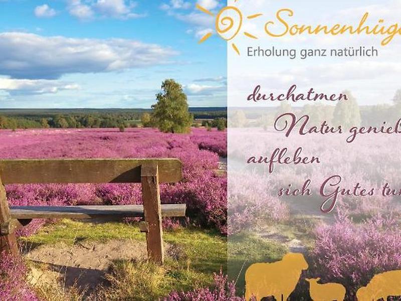 30F2E9F9B3A49532C10A4D2FCF09C5C3