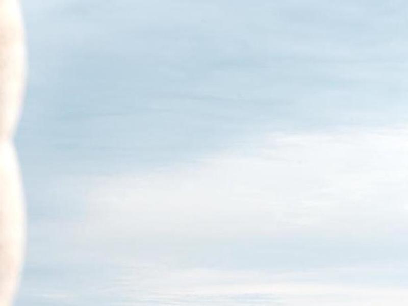 E6A97871DF1E4B08FB63816378D73ABA