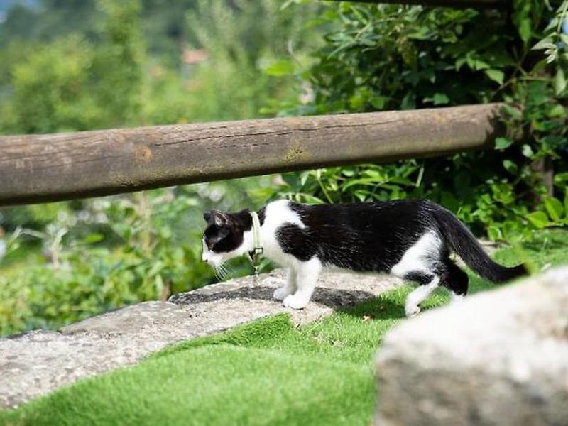 71F8EE5E1F9071AB25C5DC41E3FC2DF8