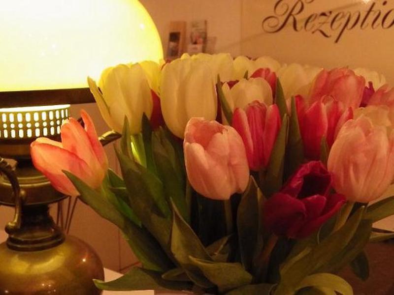 465A00F4FE3598C6E37CF688F0BDC7E2