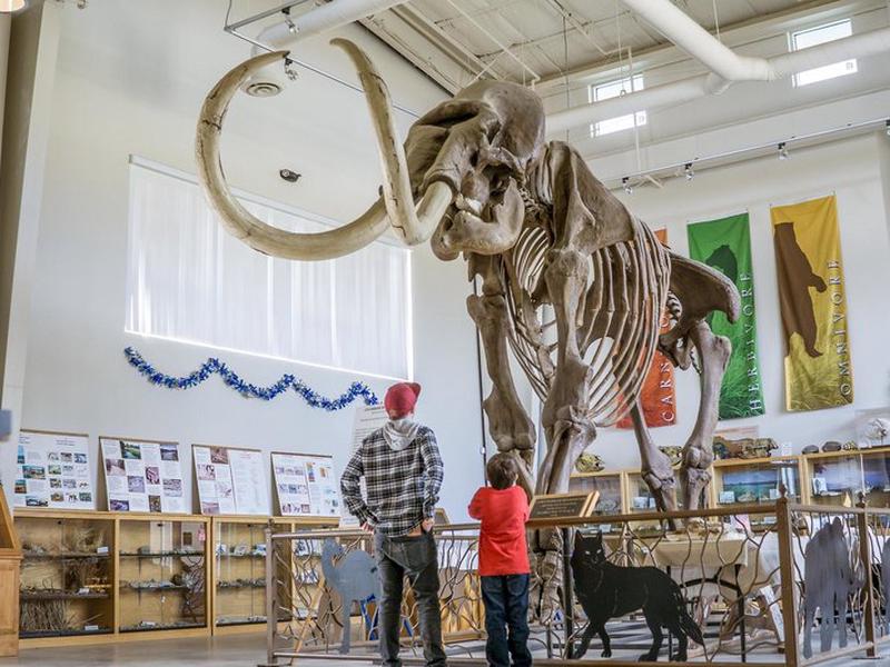 8AEB59F852F389623753D89E33890559