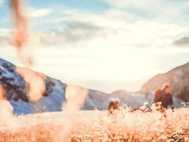 B2EF44E4CE3C499DAE2E5501BC2ED755