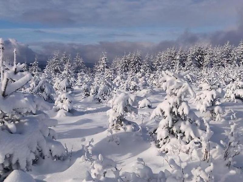 63650E223DDE1B944911AB2FC100F83A