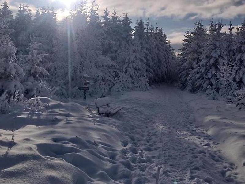 3E02C1D4D2BCF295691C7C81859DD421