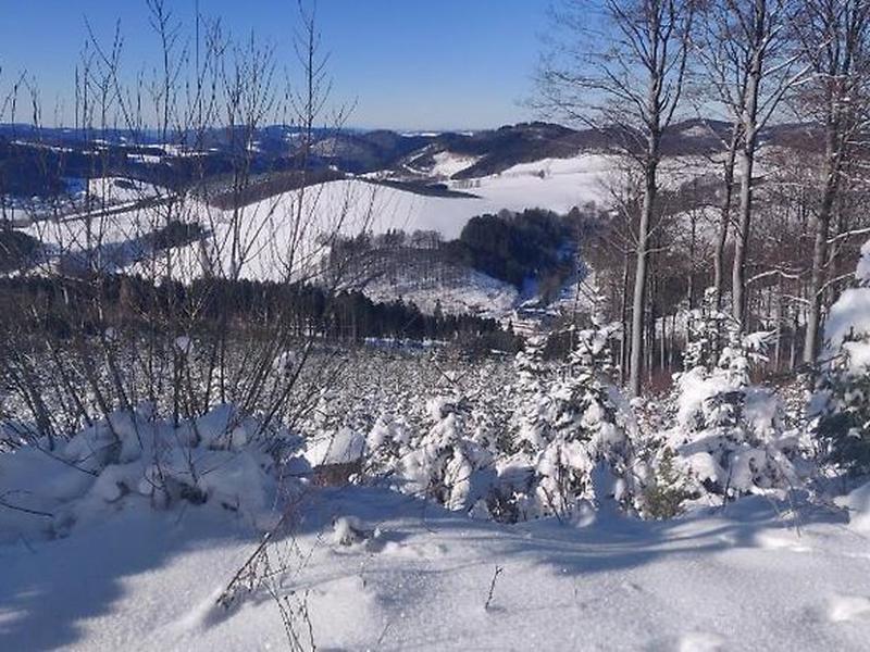 1554BA5CF527014CE0A65E8CC2157243