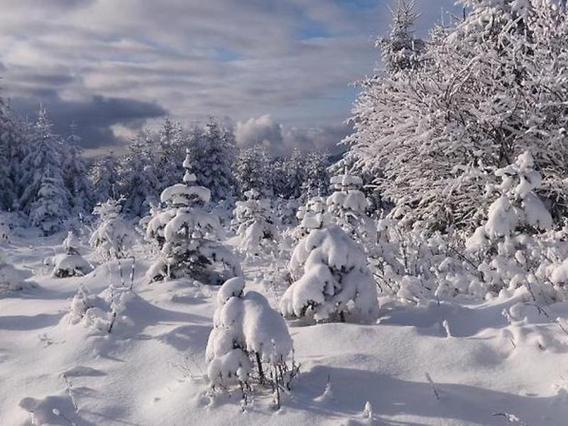 1D9EBC1291770B64E11FFD20CA69D3CA