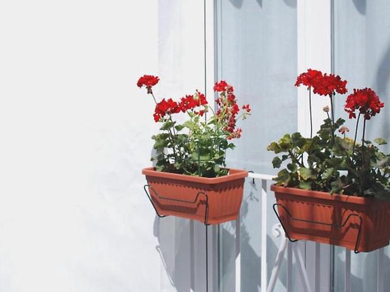 425A89B5CC8EEA5A5FA96D38F00A051A