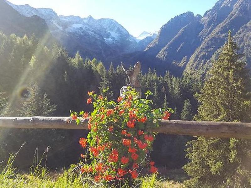 F5AF7734312CBADCEA9F1C36A83DF81A