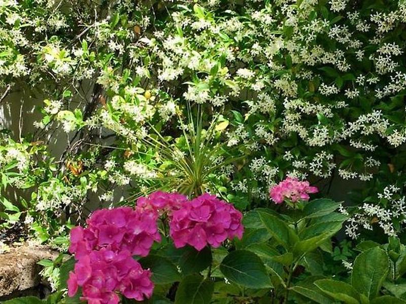 5DF3FCBCC4488305B989E36CFA2B7F17