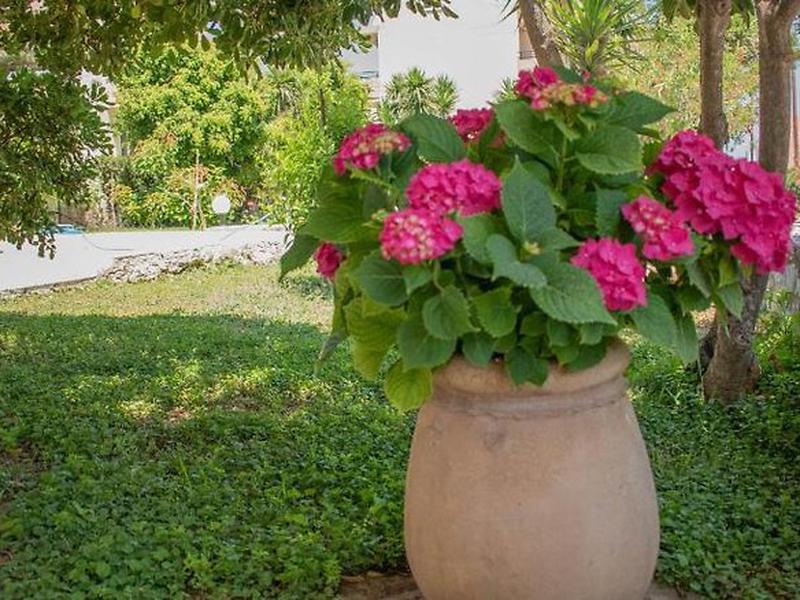 C84950A579A5E83271DB43C326C34902