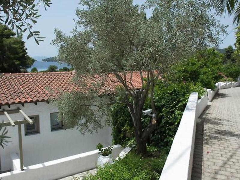 F5907875AB8543D5243252CA0305B3EC