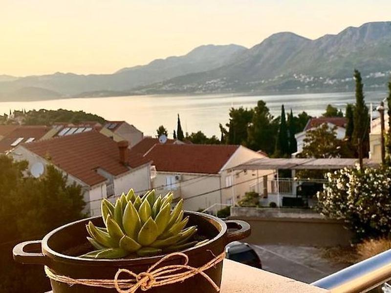 49A815A39CE194E4F50B327604000CA0