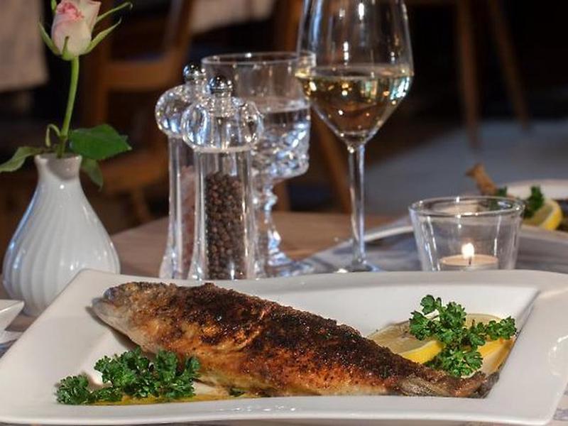 D35161F41709C3BCDD4FF0BEEFAF219E