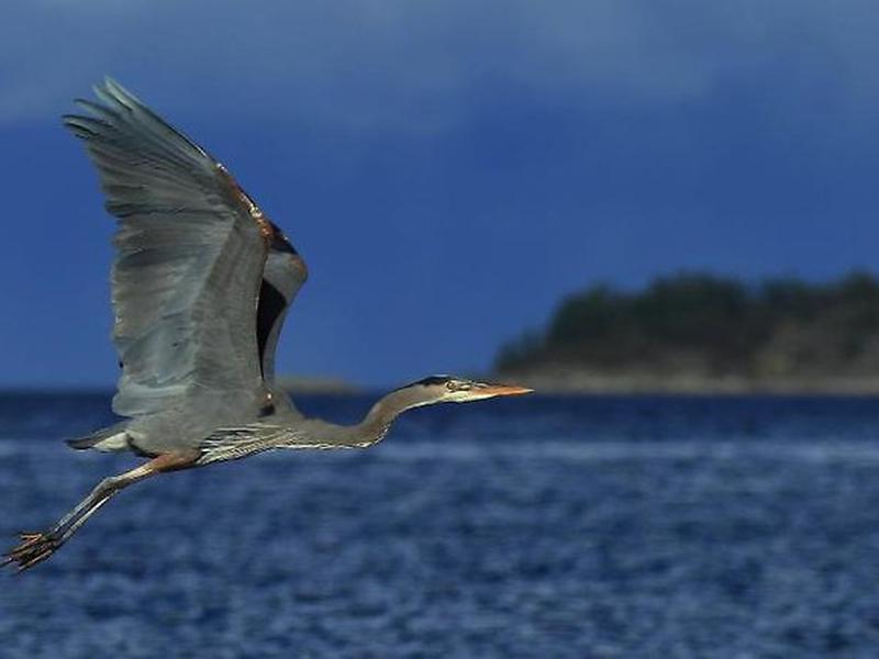 93E20D795128668803B9C6F17DE2EEE1