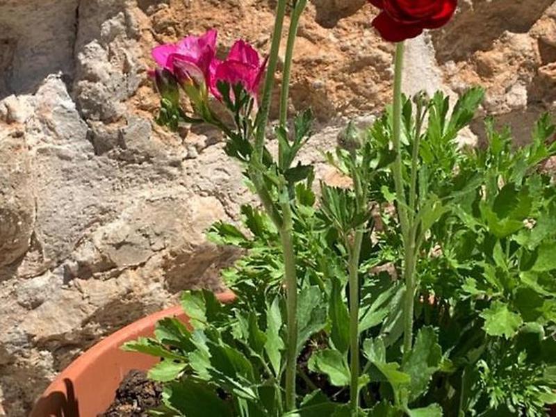 1BE98968546EC795C08B6CDBD330EA64