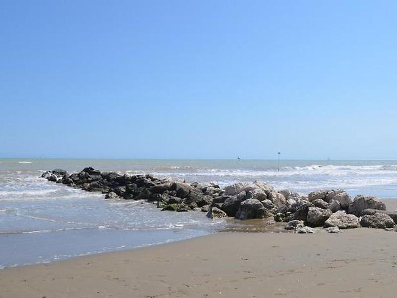 1A160EEDF2A35FFF8582E4BC062D3320