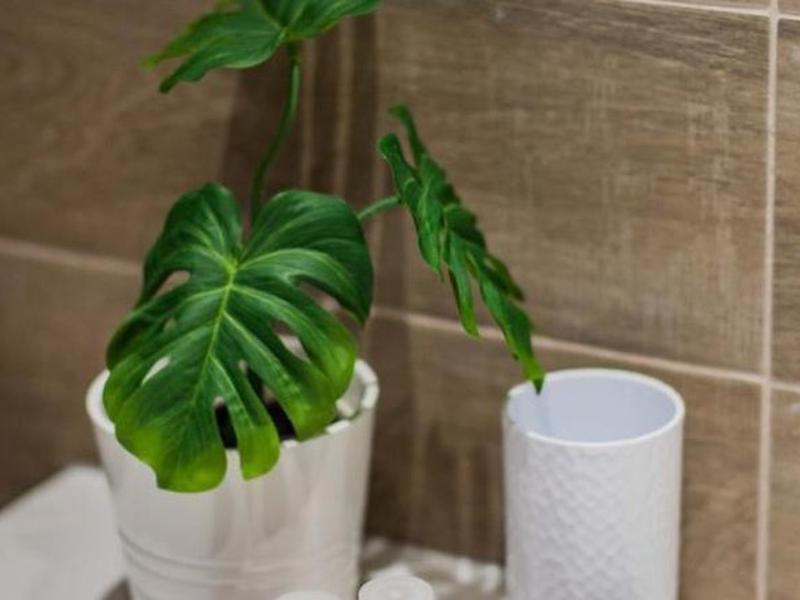 E976FA610C23BB86AC88BC09EAB8BCB9