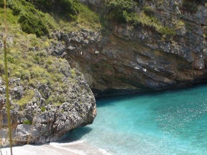 D1B6F2E31F9A79A7F87256E2E7036FB1