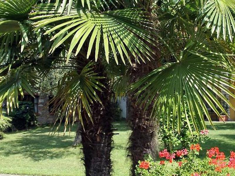 949E68BCBDBFFC72186795E41FB2F239