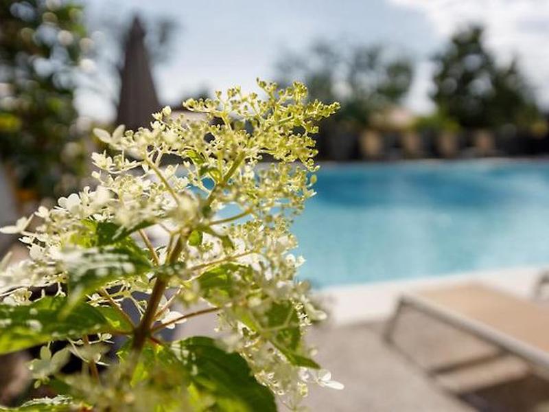 0166F74F65698A52C90304F0FB334973