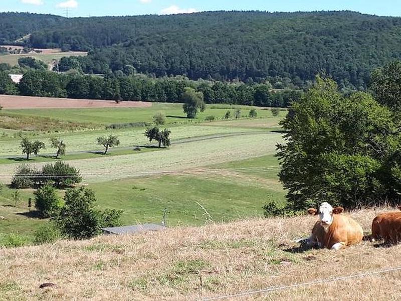 F80B0D5499711CB96F177813A509386C