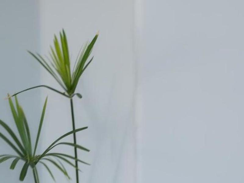 C43BEF2210CB76B9451E167B616CF1B3