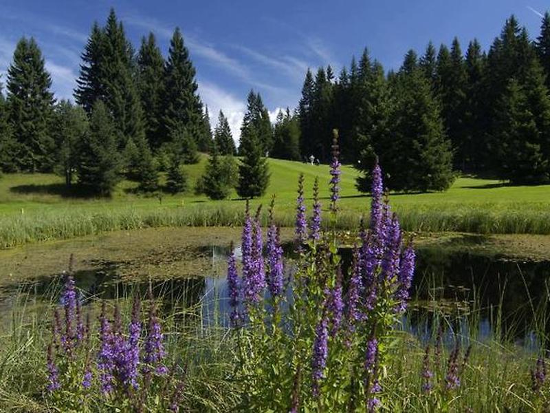 295DF9B4816B6325780EFB4B116D4C6E