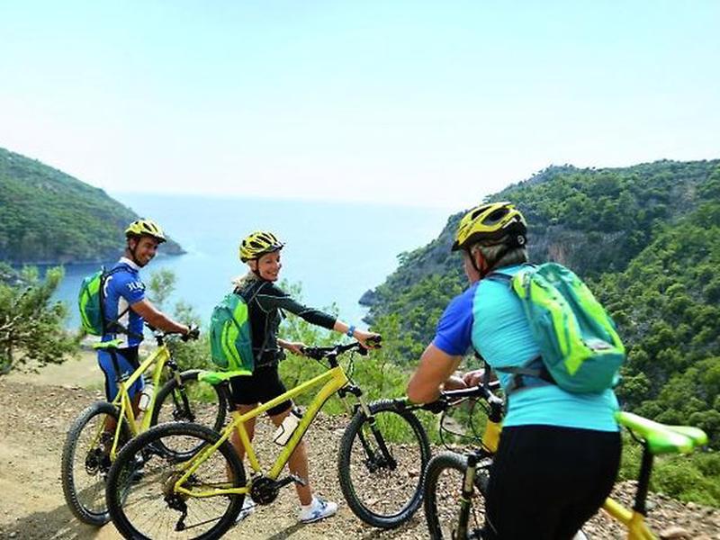 917898DFE0B3F1594DA865E54357695C