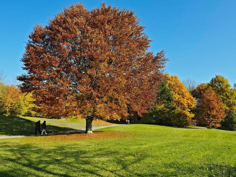 3D6622D548F24DCB529295DA89354FC2