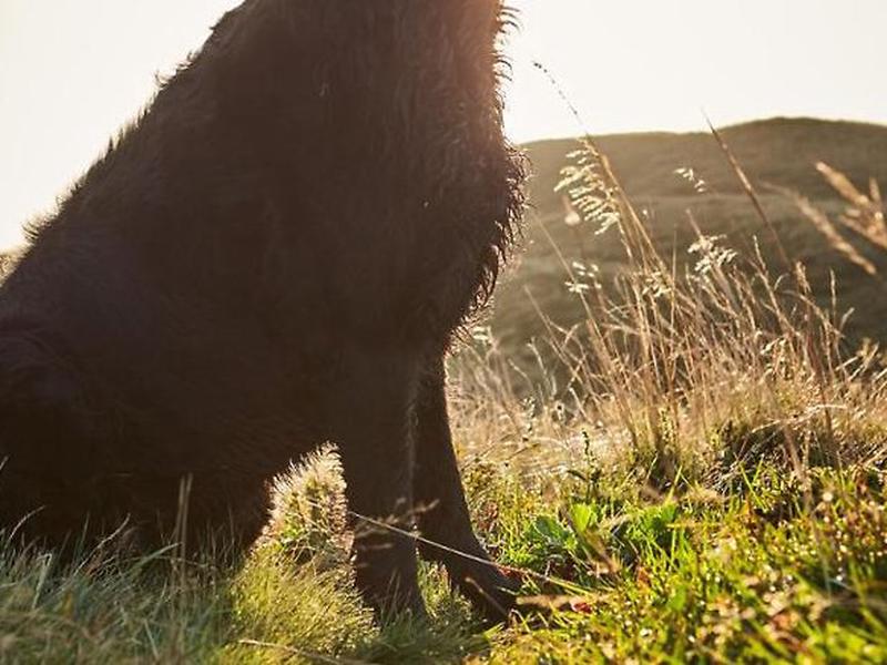 EE5EBDA602ADD117FE0AB02978DBDD6B