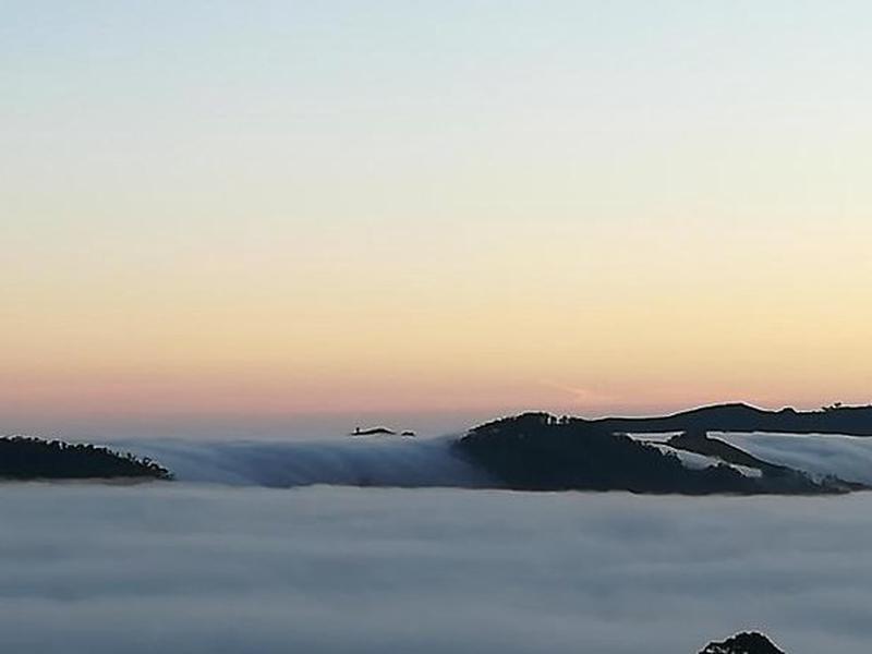 62DFB65E7114CCE536A7F0921D35E14C