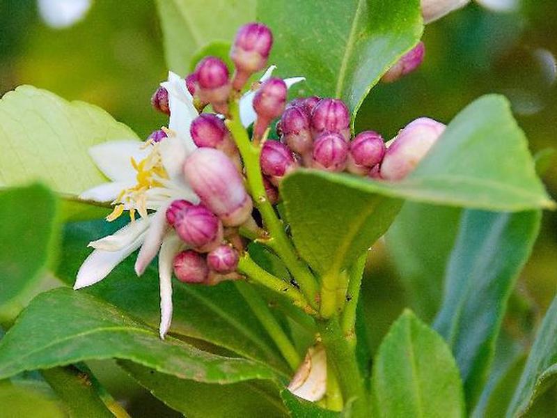 5D304DFA9BCAD72B19542EEBEFAA872F