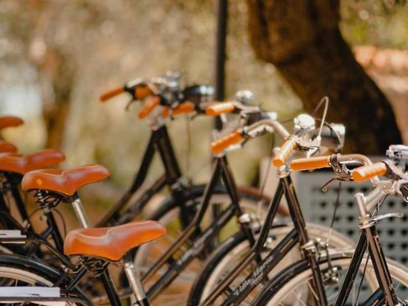 811B43458A1F0A4CAB77EDAF666AFA96