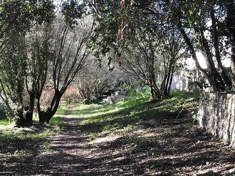 5F647795F774B07C58F2A0DC01278594