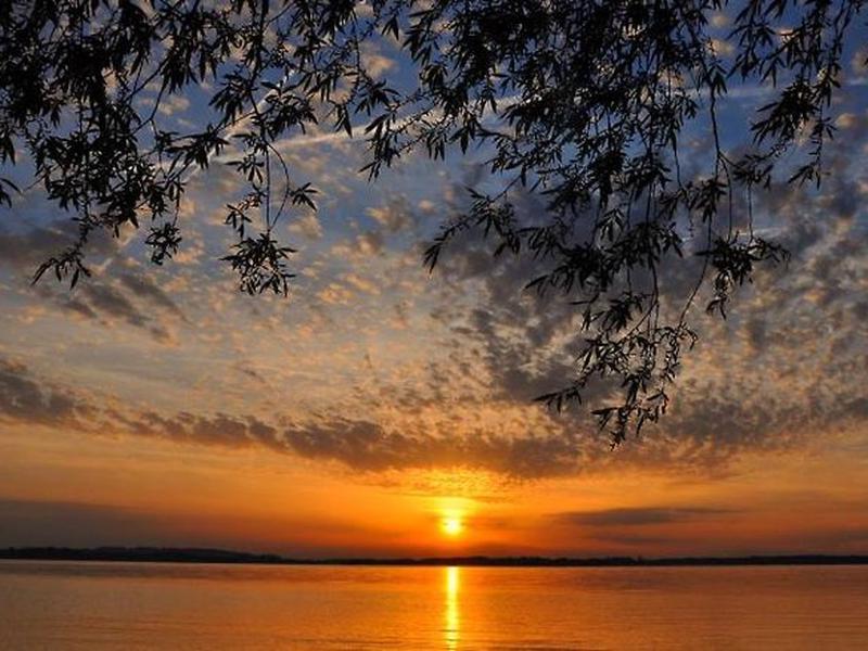 A11C0D0B008F6C9BF6A931967A469BF6