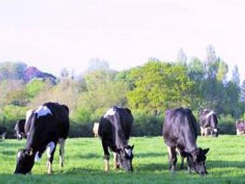 2D7C05C0448B023ABF3E8FBC96F0919D