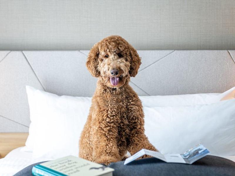 087DF4C3863DF5D9E5B450DCF4905522