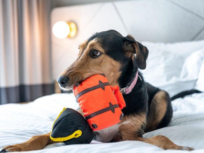 A69C5290C064FDA23228D113ACBCE318