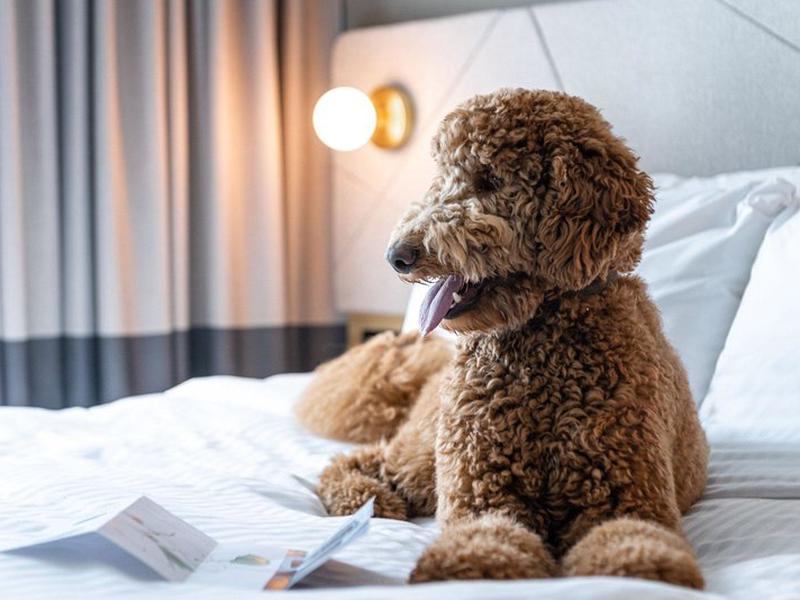 B6D4ACC220AE2B535CBB1A54238A81A1