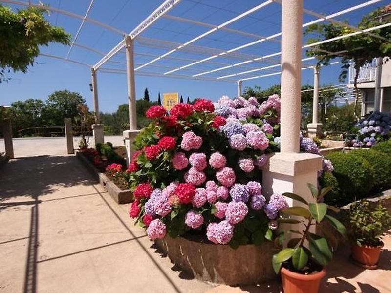 BBF91E20DE738B03E9B6CC2666251E4F