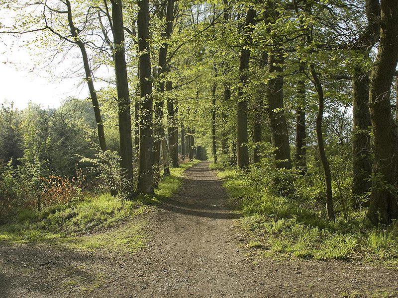 D60A8250F8FE3B5F234F809C631AB9AF