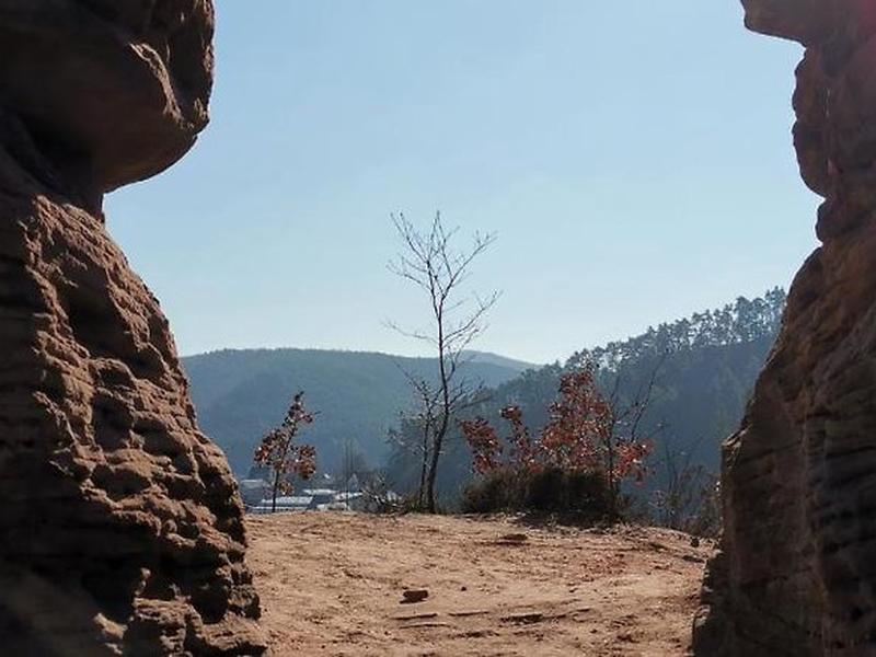 DD2371D19E0C7A86D7BD6C9C29920DAB