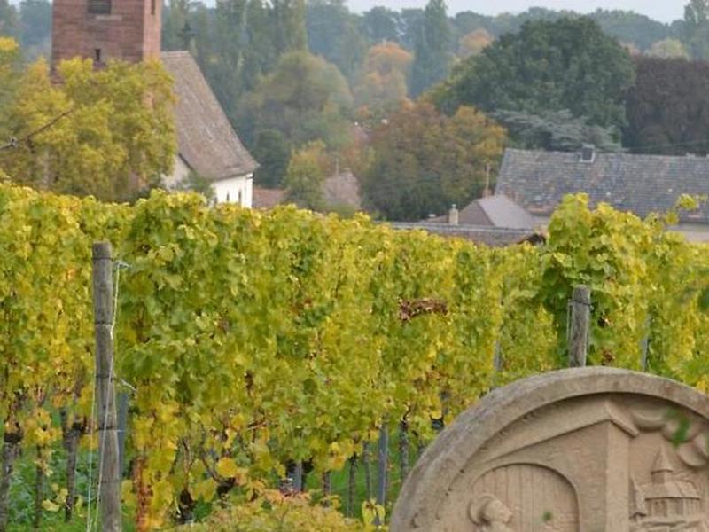 D8AE85CD251FD931F3F177383830D336