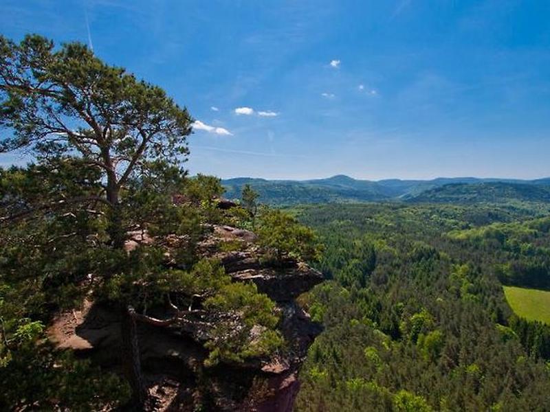 353025079F598EE68BD7616672426F38