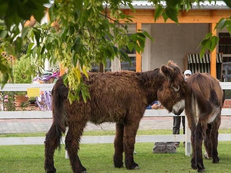 46B842BD8E4DD99F36A3C35A204912D3