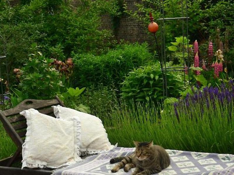 4A665D3E89C8122B5EBC6B1037DDB899