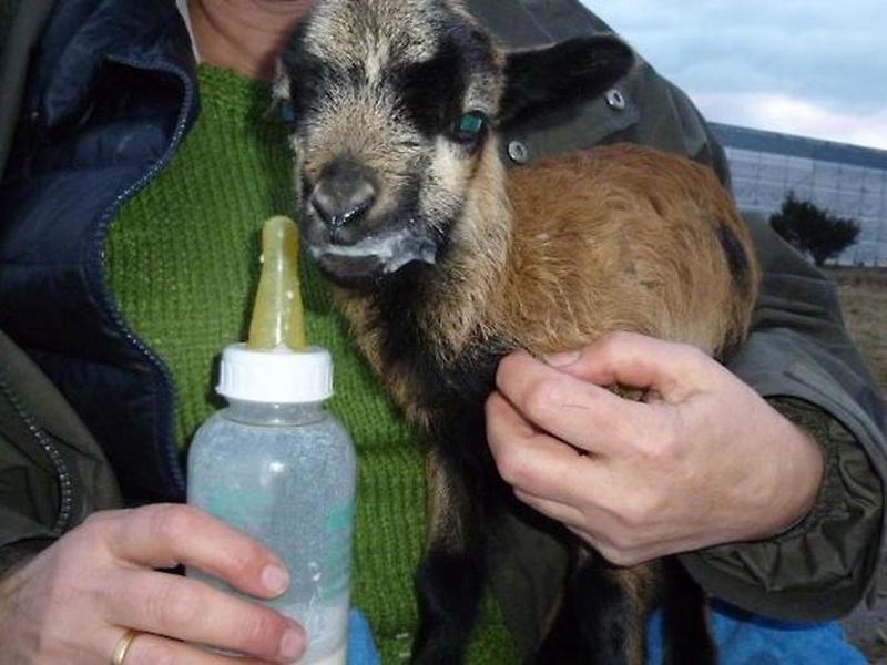 52D49A6139FEC1E6733B58BA94A3C43E