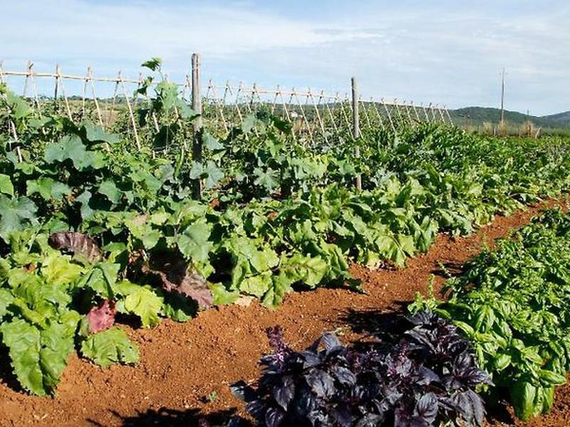 0884F3472C516DED835BF2577EDEADD9