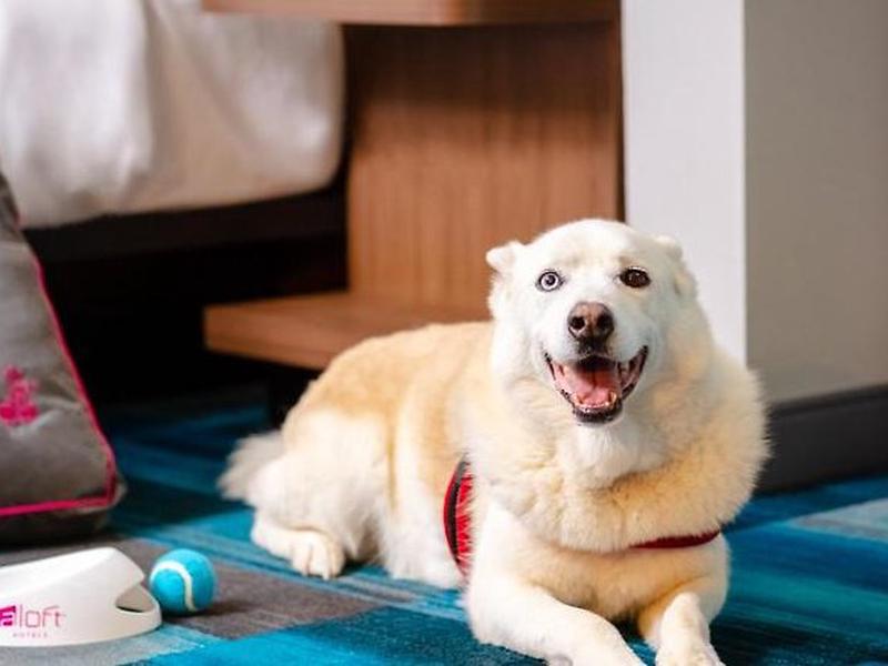 D69815CADC36300F19108C2B3734CB34