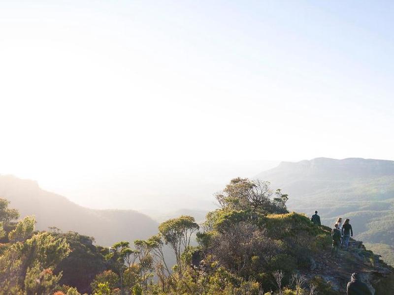 D03D3A5180D953B6D1E9F402C1BB2CA1